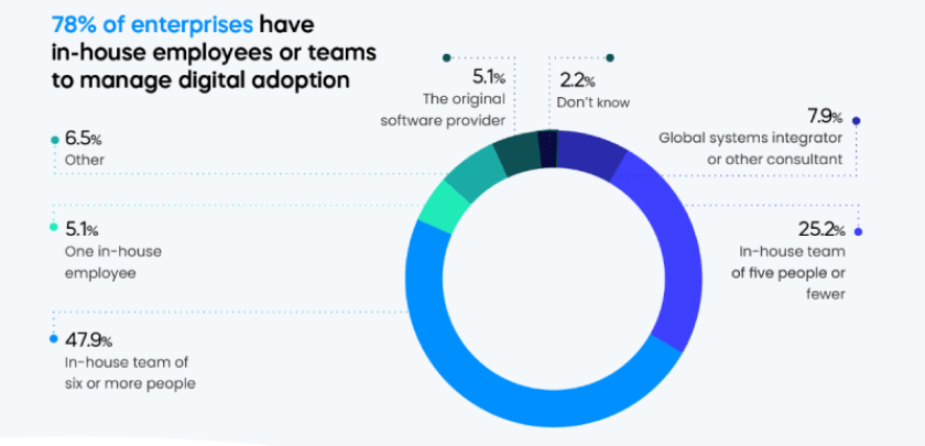 Enterprises have in house emploees or teams to mangae digital adoption